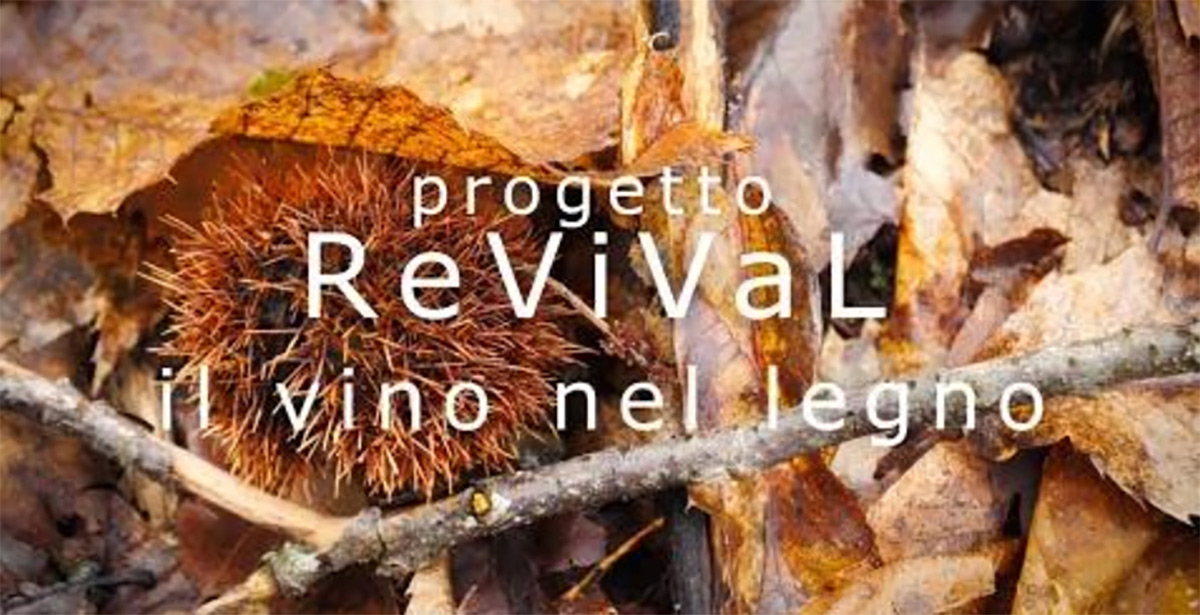 ReViVaL